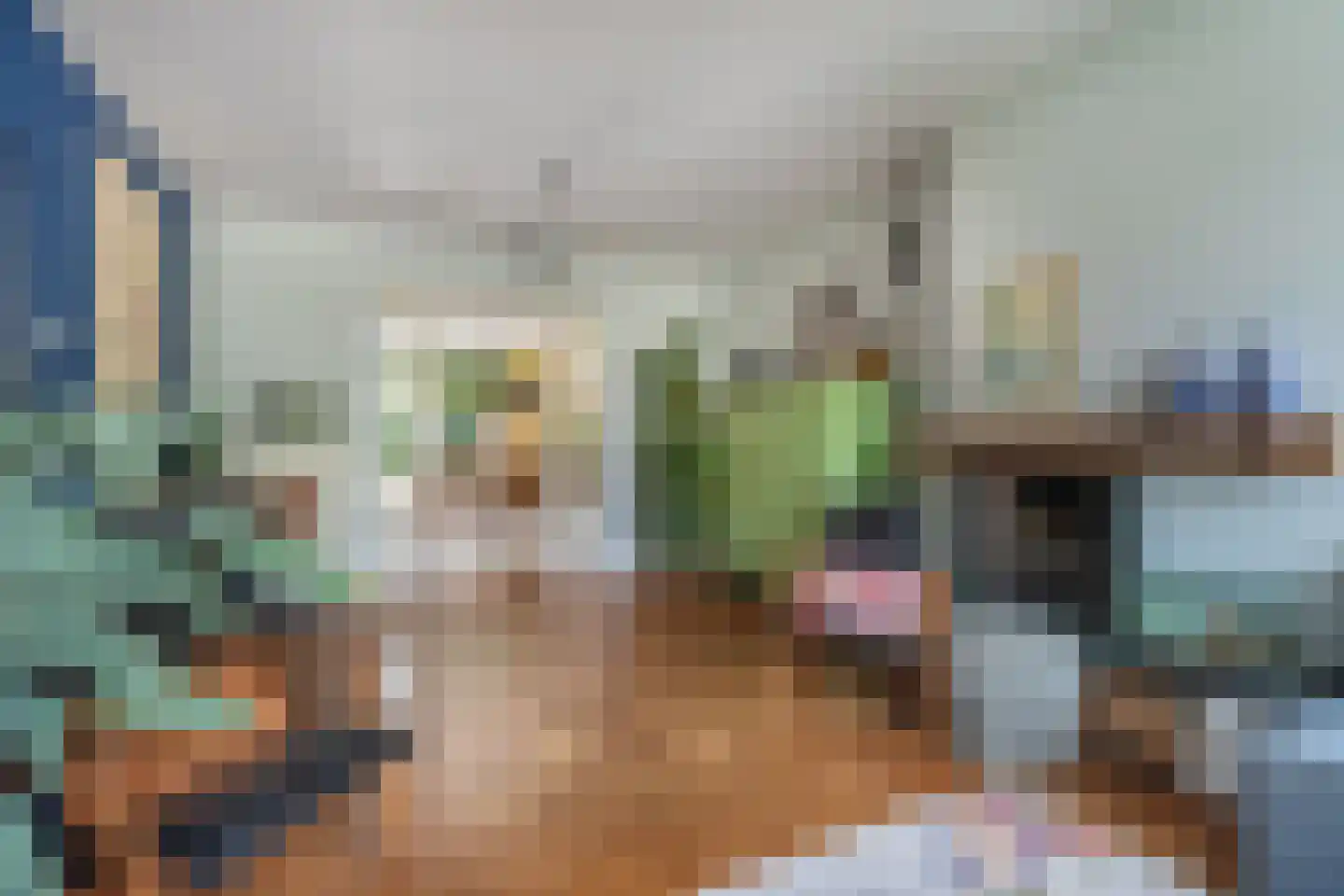 Veldstraat 8 Den Dungen thumbnail 6