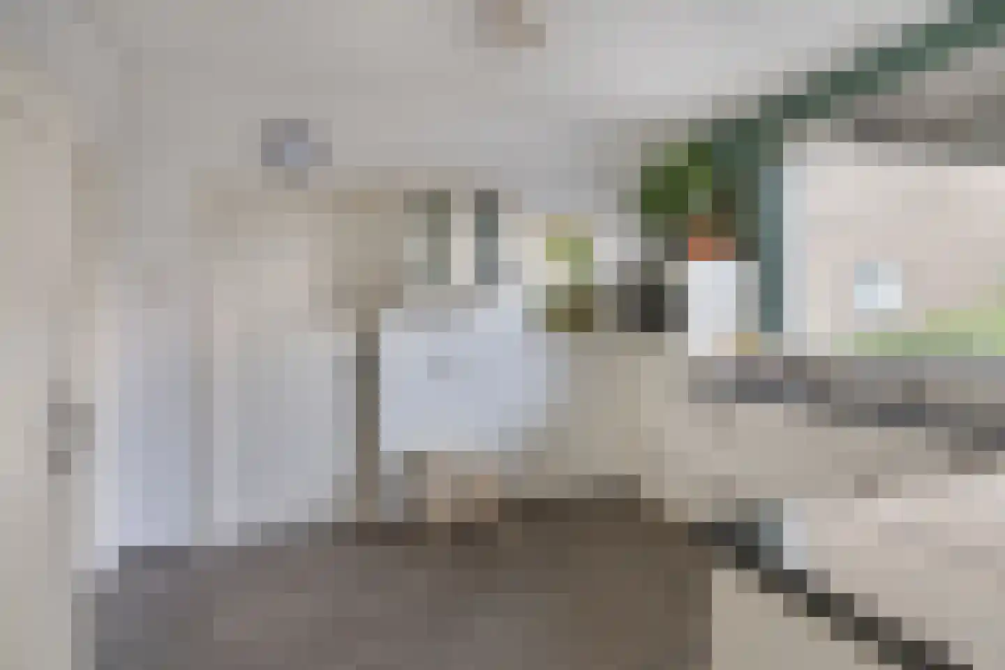Veldstraat 8 Den Dungen thumbnail 8