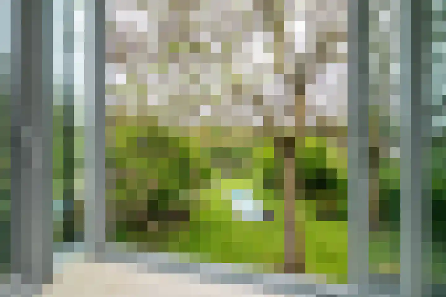 Veldstraat 8 Maastricht thumbnail 23
