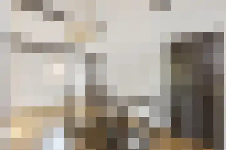 Veldstraat 9 Sluiskil thumbnail 10