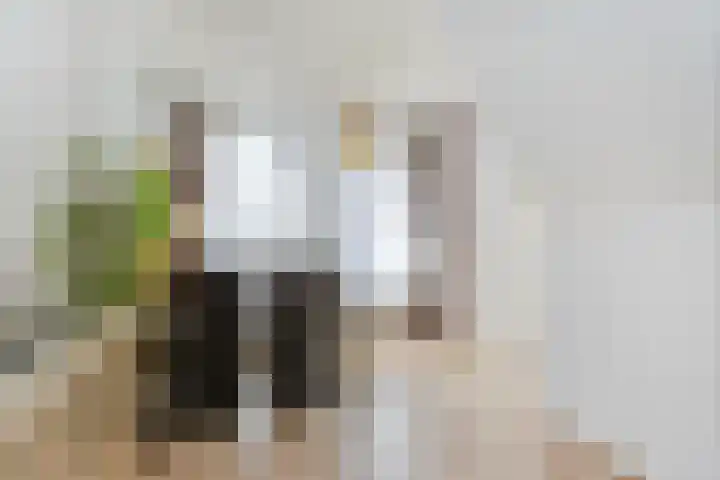 Veldstraat 9 Sluiskil thumbnail 7