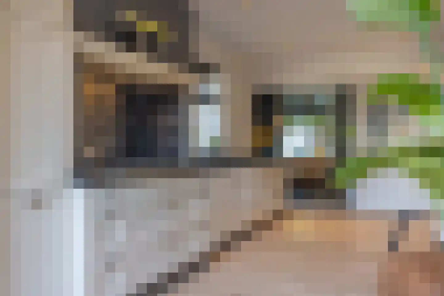 Veldstraat 94 Ulft thumbnail 10