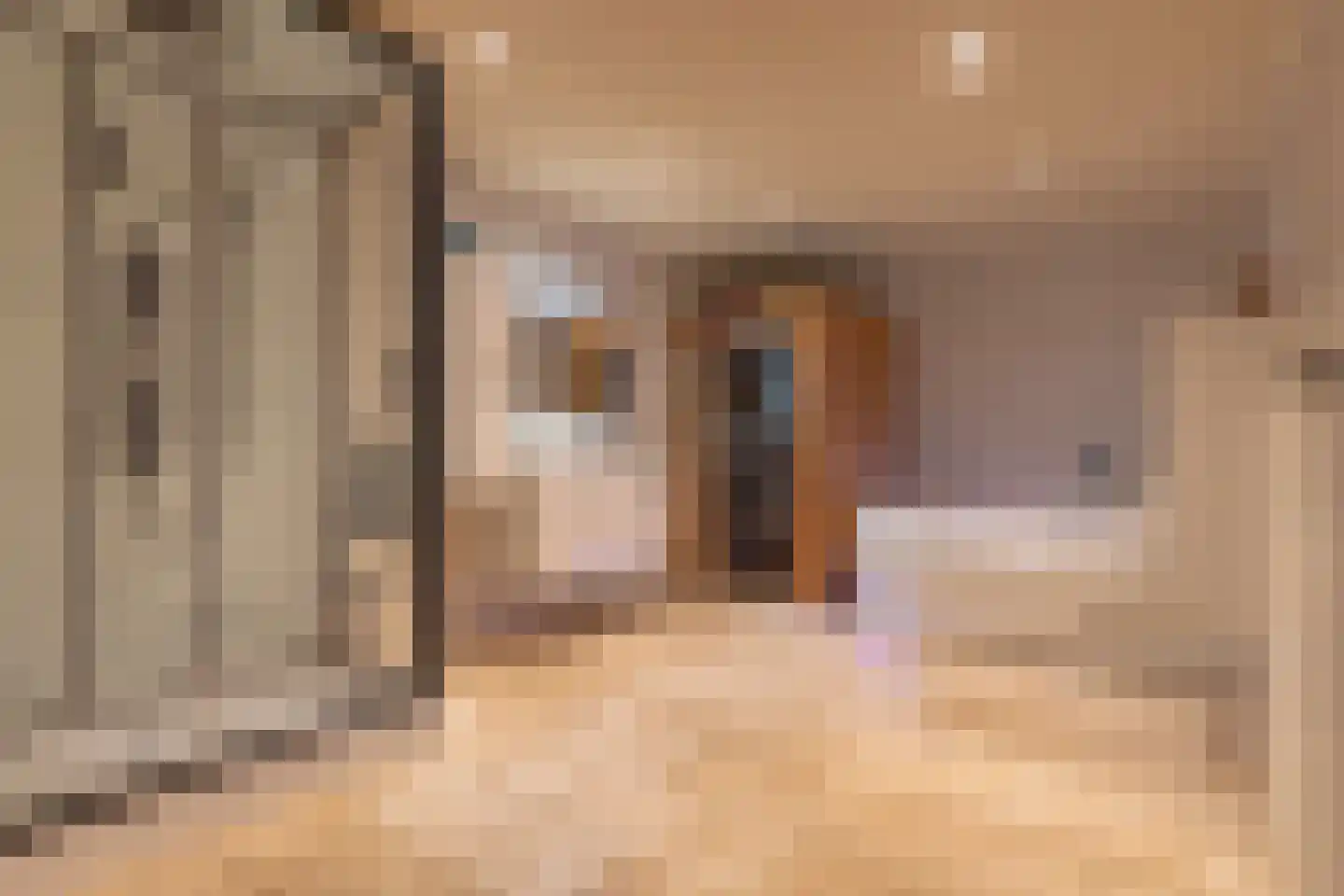 Veldstraat 94 Ulft thumbnail 14