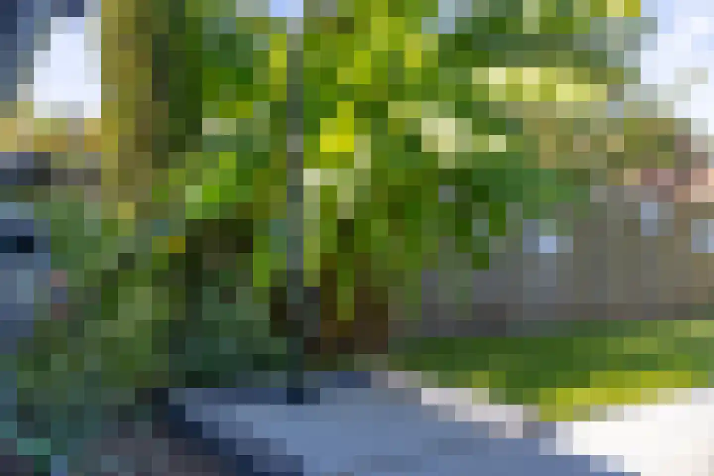 Veldstraat 94 Ulft thumbnail 23