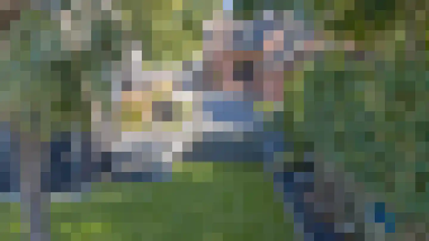 Veldstraat 94 Ulft thumbnail 24