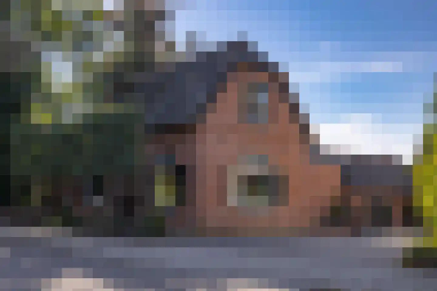 Veldstraat 94 Ulft thumbnail 30
