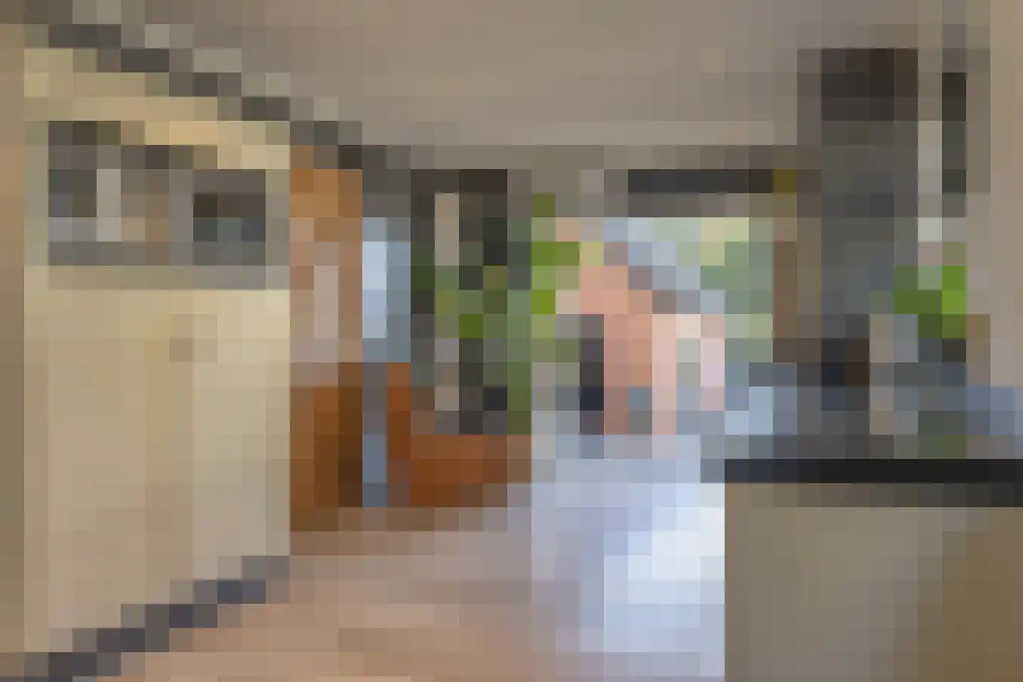 Veldstraat 94 Ulft thumbnail 7