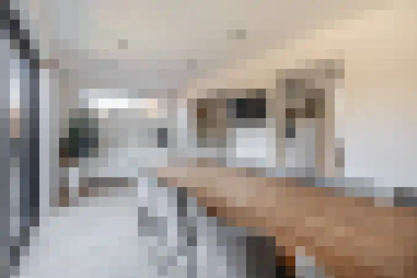 Veldstraat 95 Tegelen thumbnail 10