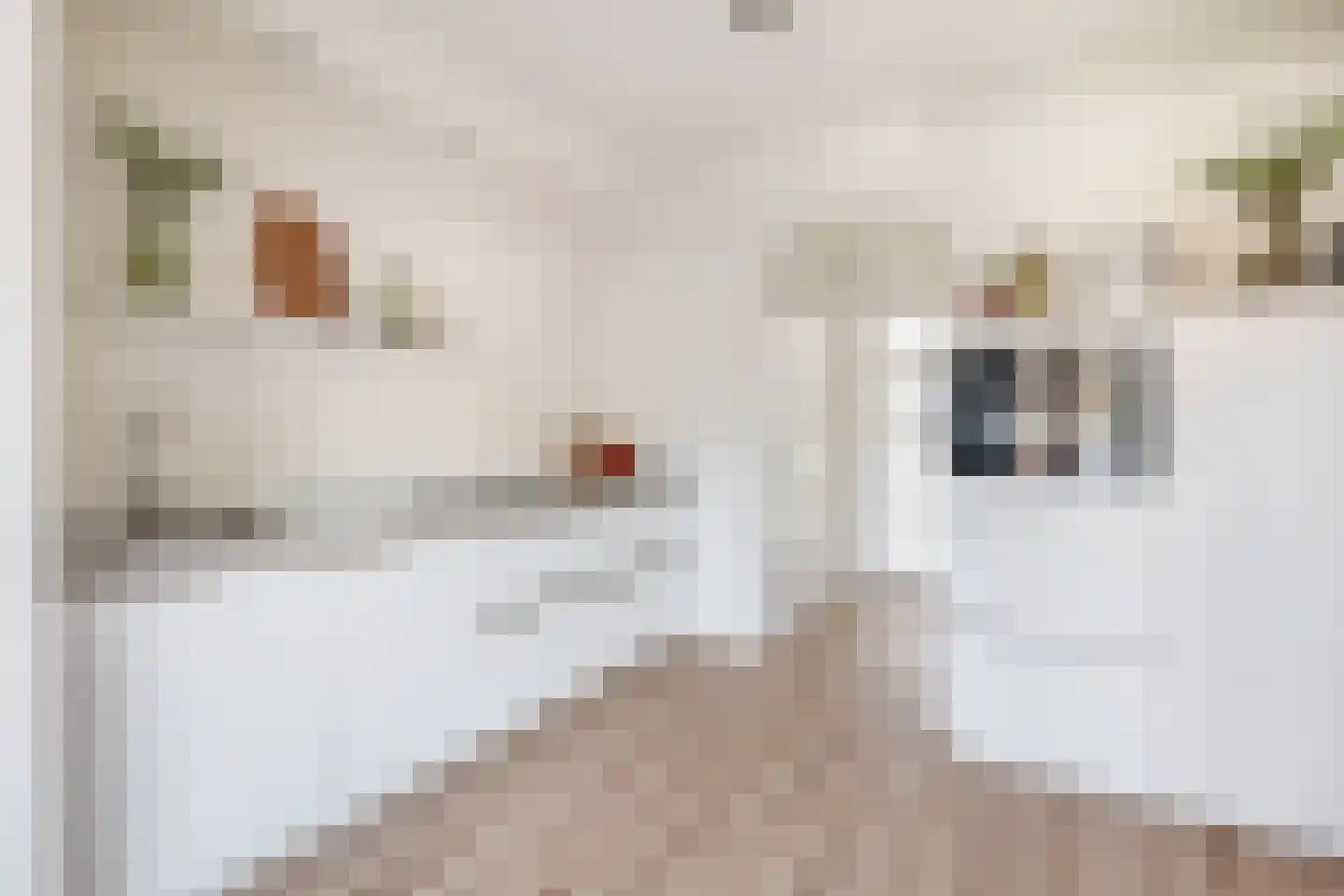 Veldstraat 95 Tegelen thumbnail 5