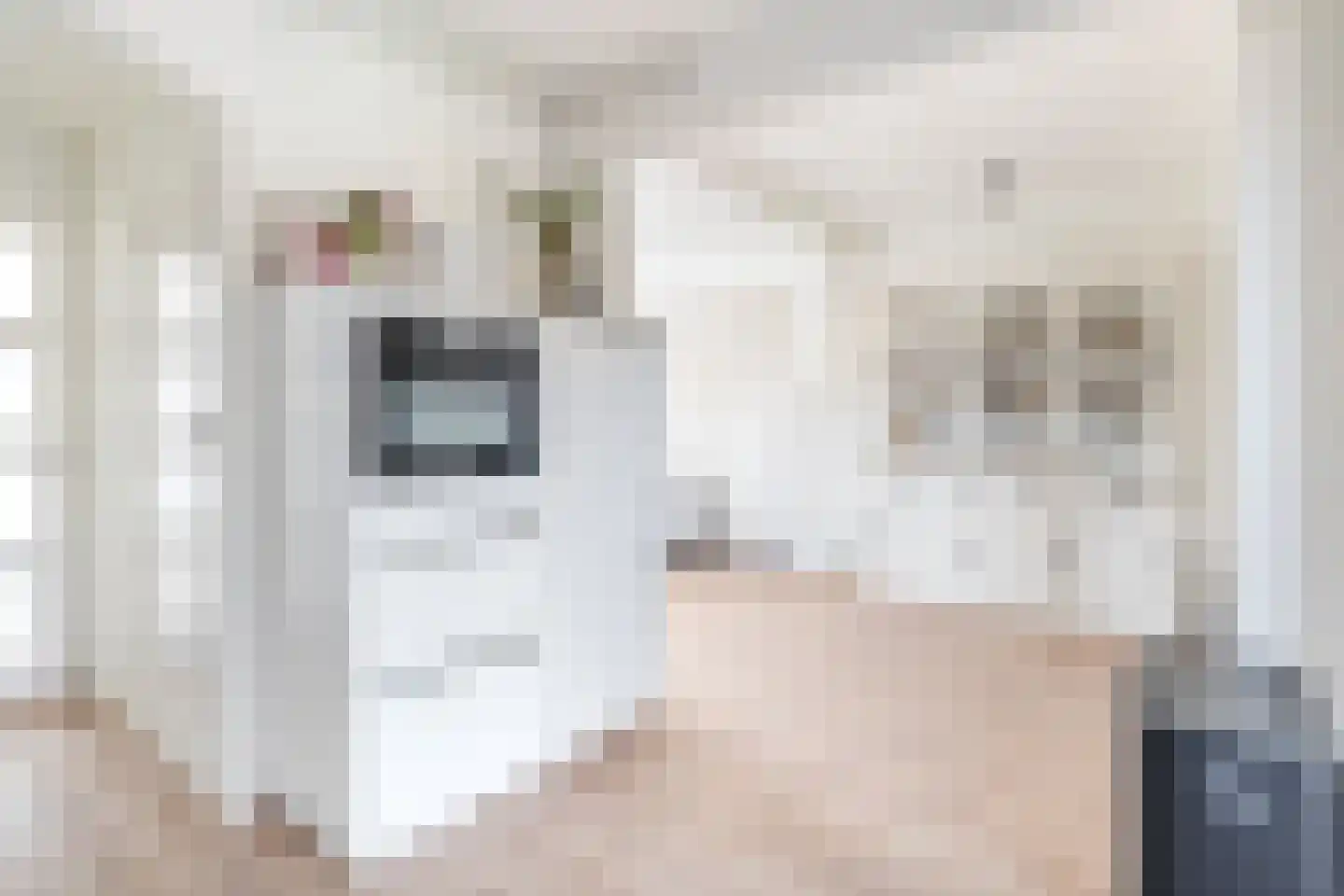 Veldstraat 95 Tegelen thumbnail 6