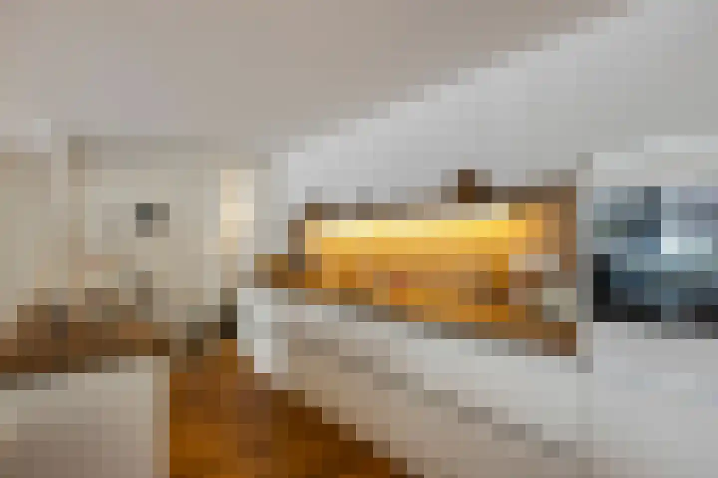 Veldstraat Oost 11 a Stevensweert thumbnail 22