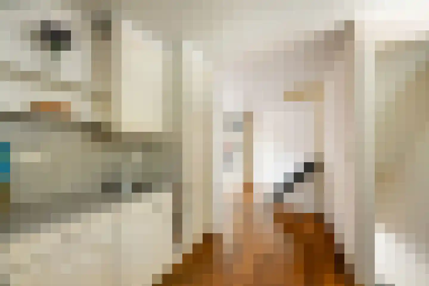 Veldstraat Oost 11 a Stevensweert thumbnail 32