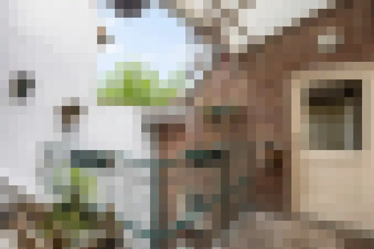Veldstraat Oost 15 Stevensweert thumbnail 43