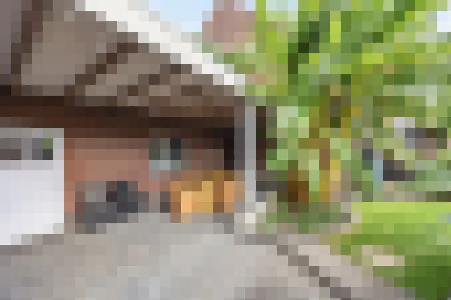 Veldstraat Oost 15 Stevensweert thumbnail 60