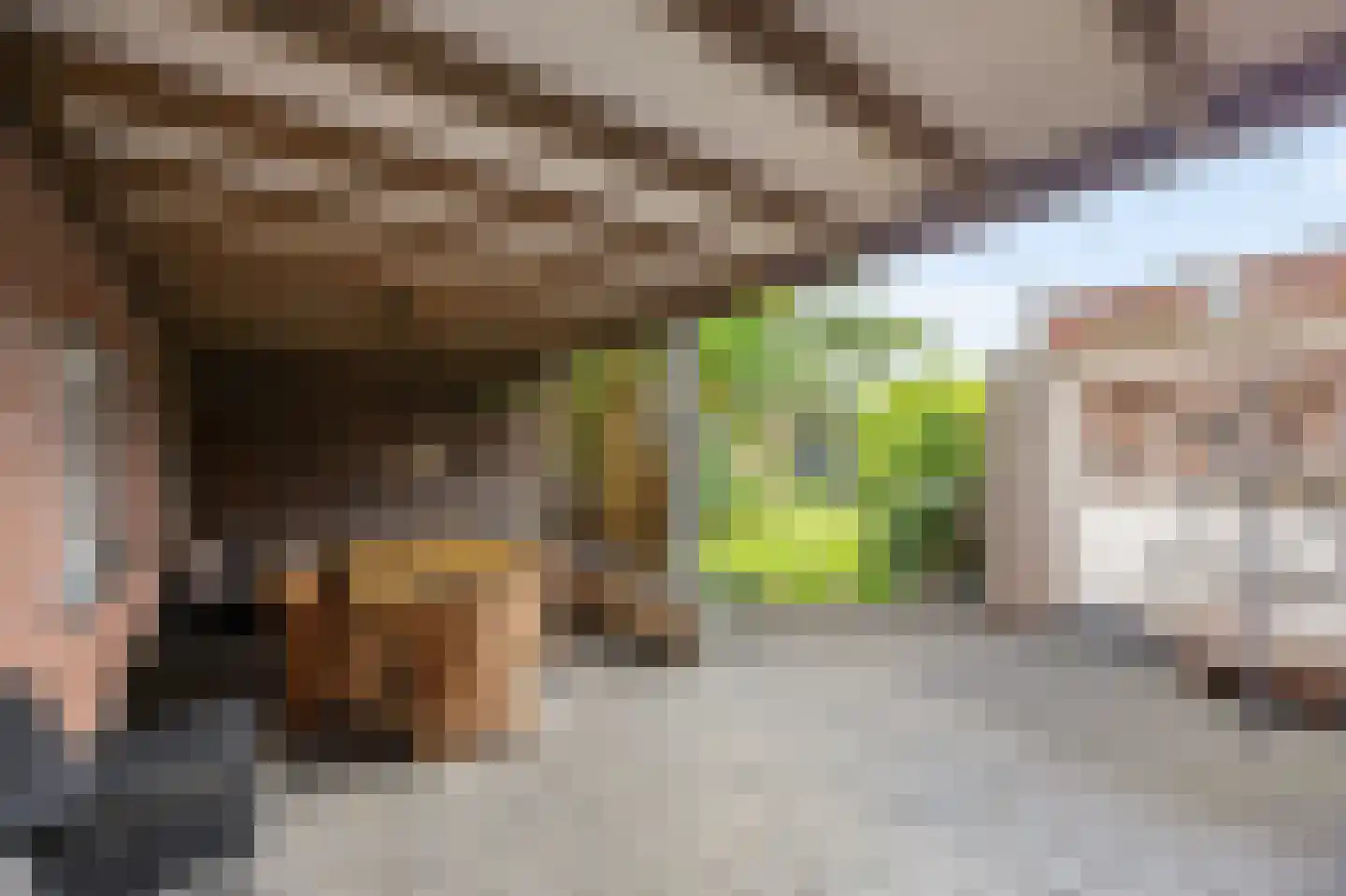 Veldstraat Oost 15 Stevensweert thumbnail 61