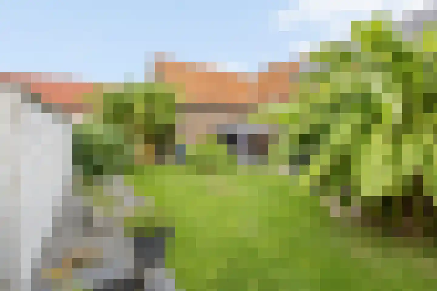 Veldstraat Oost 15 Stevensweert thumbnail 70