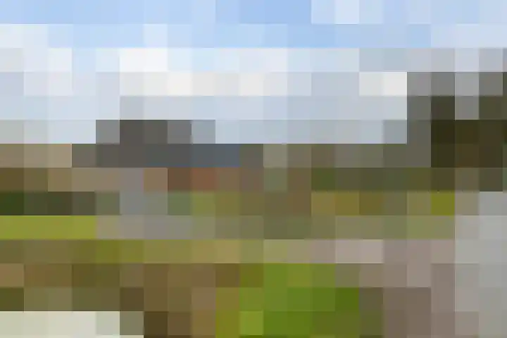 Veldstreek 17 Zevenhuizen thumbnail 10