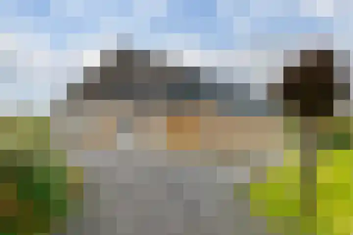 Veldstreek 17 Zevenhuizen thumbnail 11