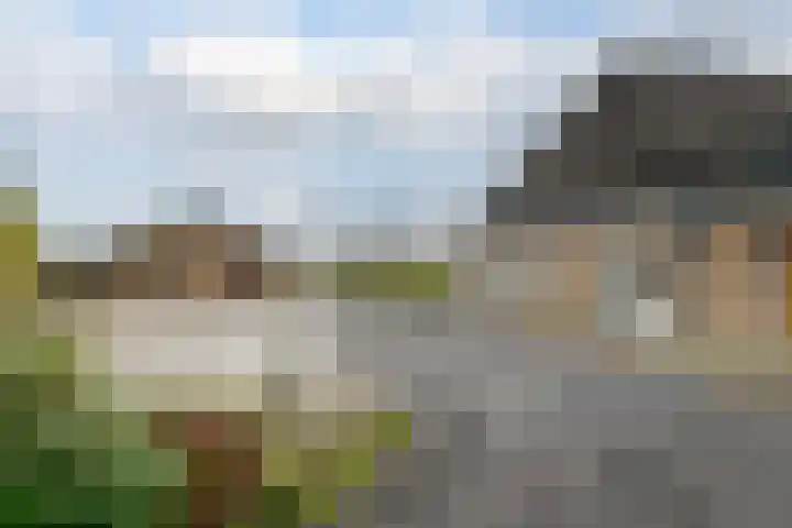 Veldstreek 17 Zevenhuizen thumbnail 12