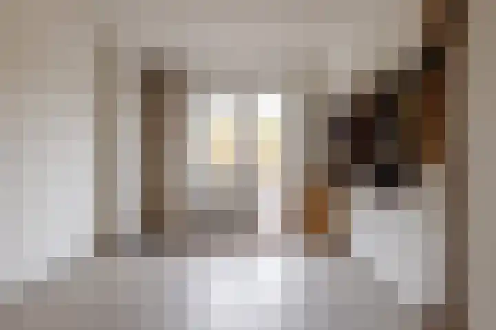 Veldstreek 17 Zevenhuizen thumbnail 14