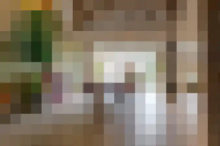 Veldstreek 17 Zevenhuizen thumbnail 16
