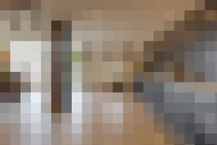 Veldstreek 17 Zevenhuizen thumbnail 20