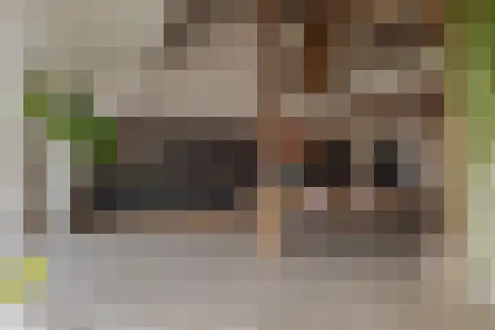 Veldstreek 17 Zevenhuizen thumbnail 22