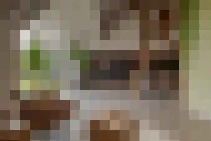 Veldstreek 17 Zevenhuizen thumbnail 23