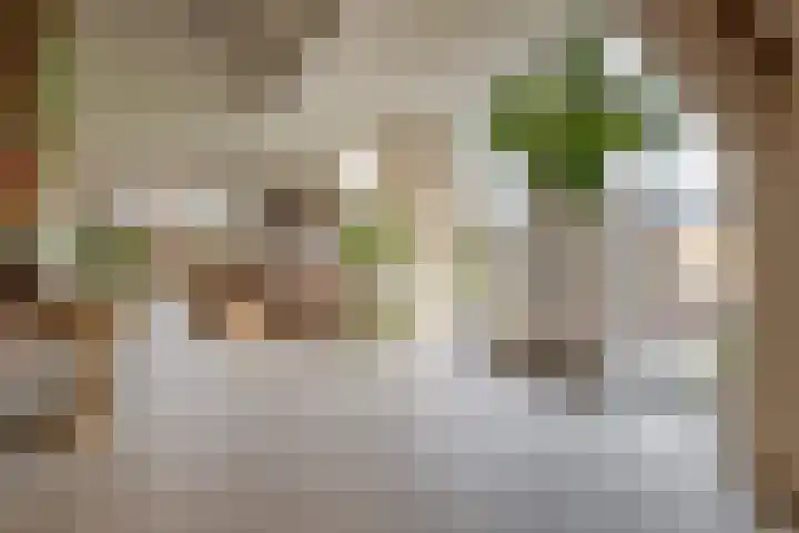 Veldstreek 17 Zevenhuizen thumbnail 24