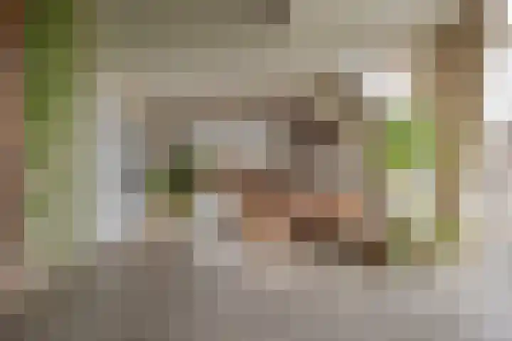 Veldstreek 17 Zevenhuizen thumbnail 25