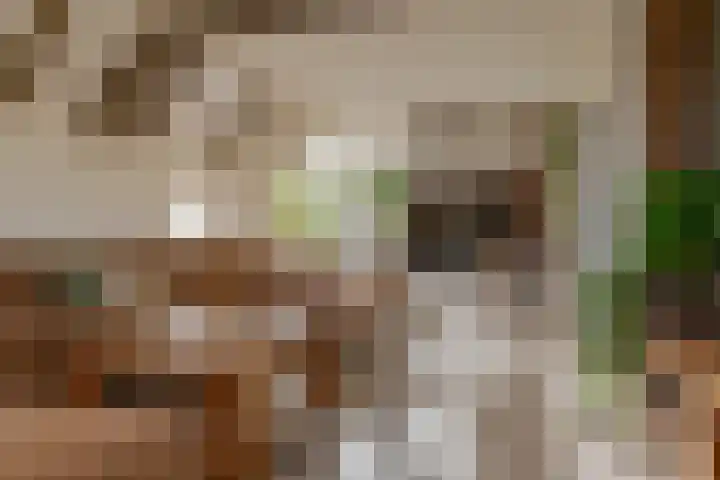 Veldstreek 17 Zevenhuizen thumbnail 27