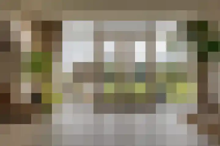 Veldstreek 17 Zevenhuizen thumbnail 28