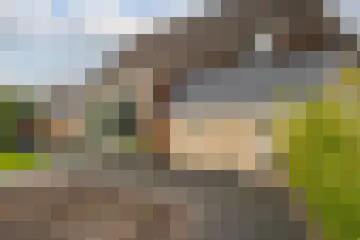 Veldstreek 17 Zevenhuizen thumbnail 29