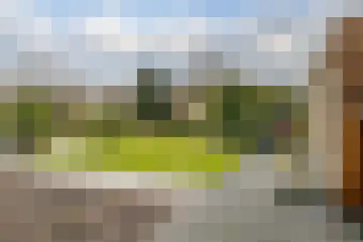 Veldstreek 17 Zevenhuizen thumbnail 32