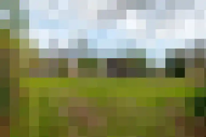 Veldstreek 17 Zevenhuizen thumbnail 33