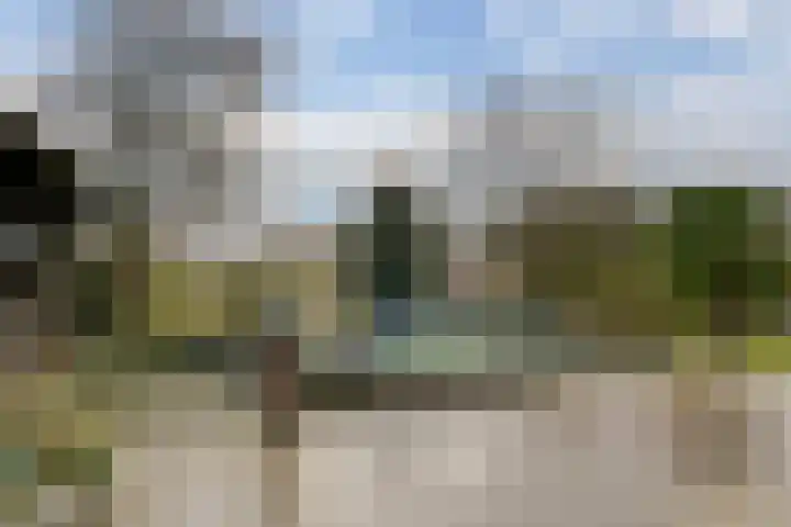 Veldstreek 17 Zevenhuizen thumbnail 34