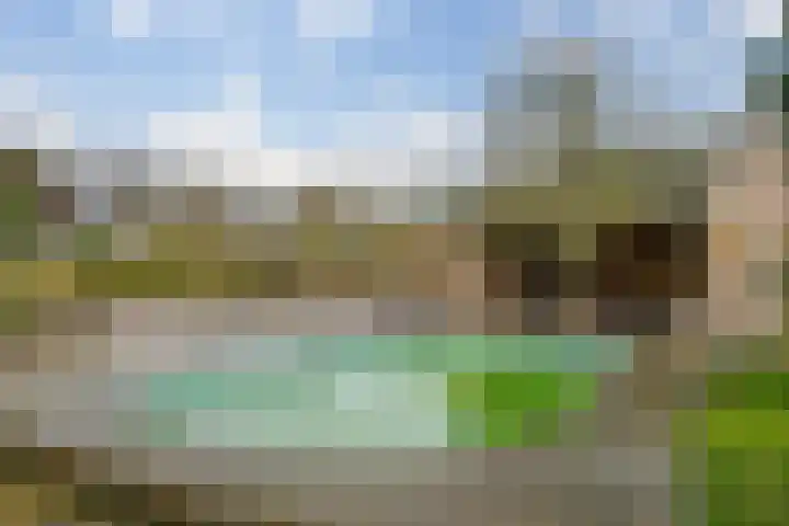 Veldstreek 17 Zevenhuizen thumbnail 35