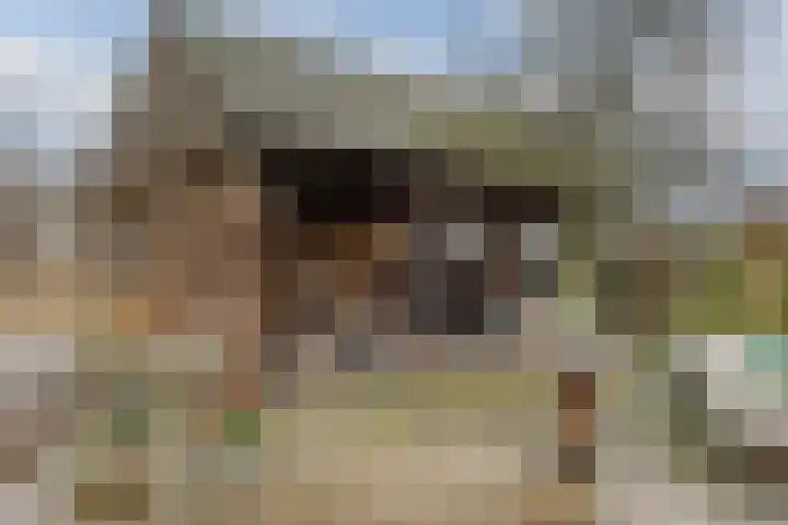 Veldstreek 17 Zevenhuizen thumbnail 36
