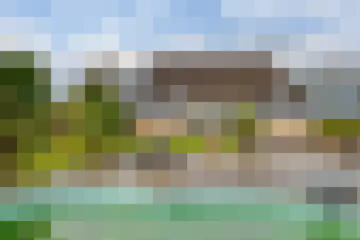 Veldstreek 17 Zevenhuizen thumbnail 37
