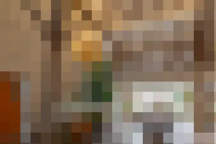 Veldstreek 17 Zevenhuizen thumbnail 39