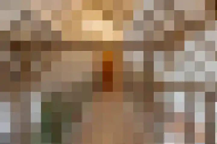 Veldstreek 17 Zevenhuizen thumbnail 46