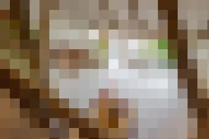 Veldstreek 17 Zevenhuizen thumbnail 47