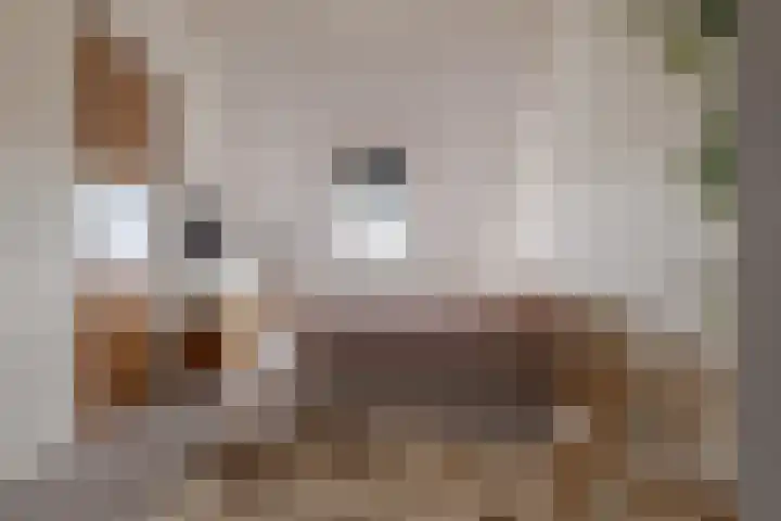 Veldstreek 17 Zevenhuizen thumbnail 48