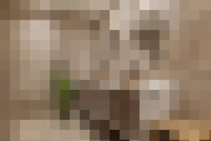 Veldstreek 17 Zevenhuizen thumbnail 5