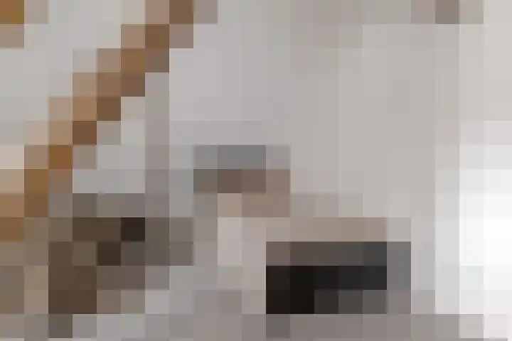 Veldstreek 17 Zevenhuizen thumbnail 52