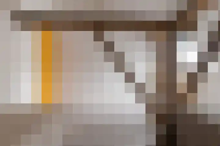Veldstreek 17 Zevenhuizen thumbnail 53