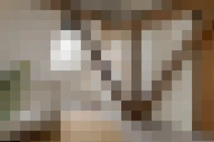 Veldstreek 17 Zevenhuizen thumbnail 56