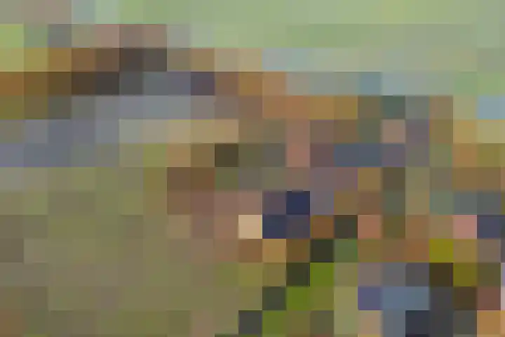 Veldstreek 17 Zevenhuizen thumbnail 6