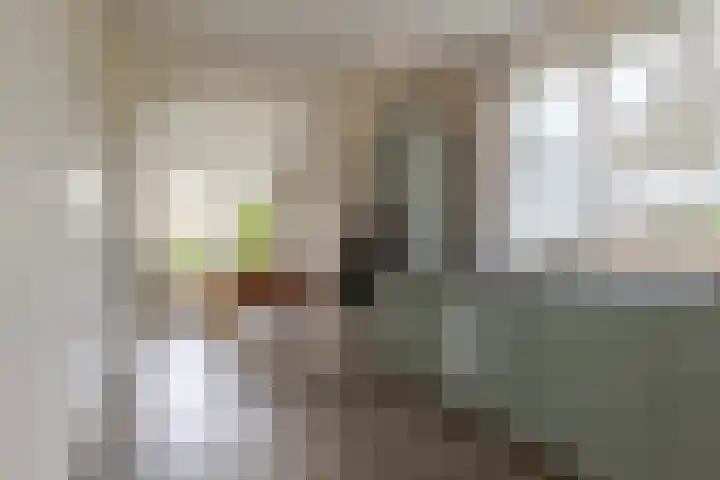 Veldstreek 17 Zevenhuizen thumbnail 65