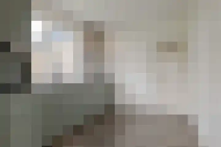 Veldstreek 17 Zevenhuizen thumbnail 66